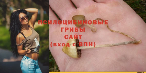 apvp Баксан