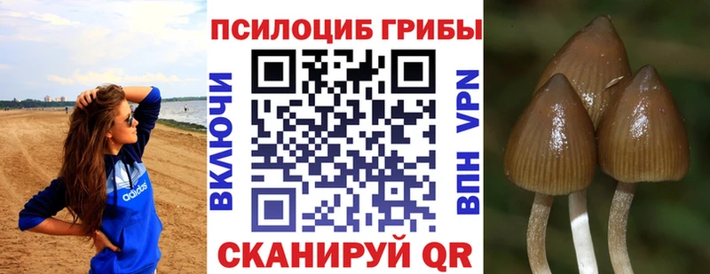 mega зеркало  Бирюсинск  Галлюциногенные грибы GOLDEN TEACHER 